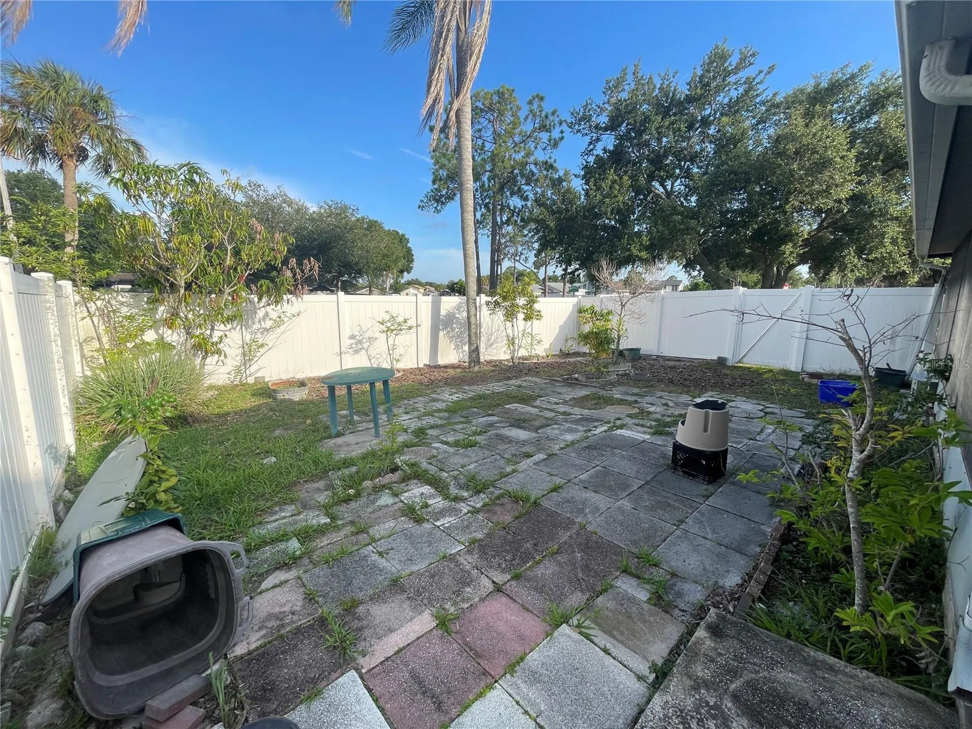 11001 Sunswept Place Tampa FL 33624
