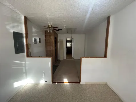 11001 Sunswept Place Tampa FL 33624