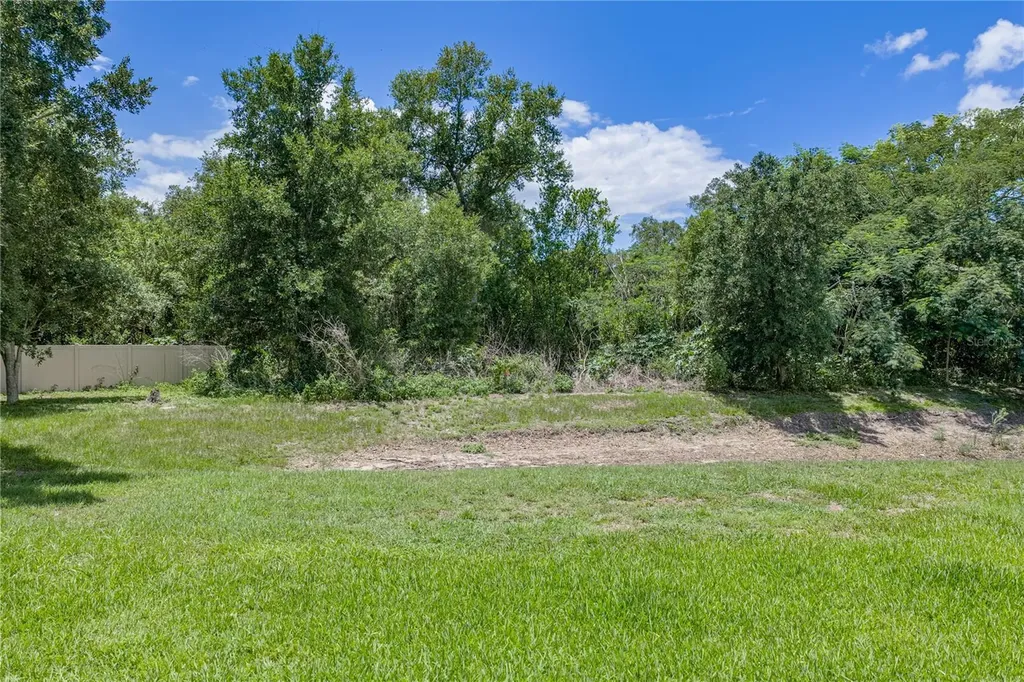 623 Straw Lake Drive Brandon FL 33510
