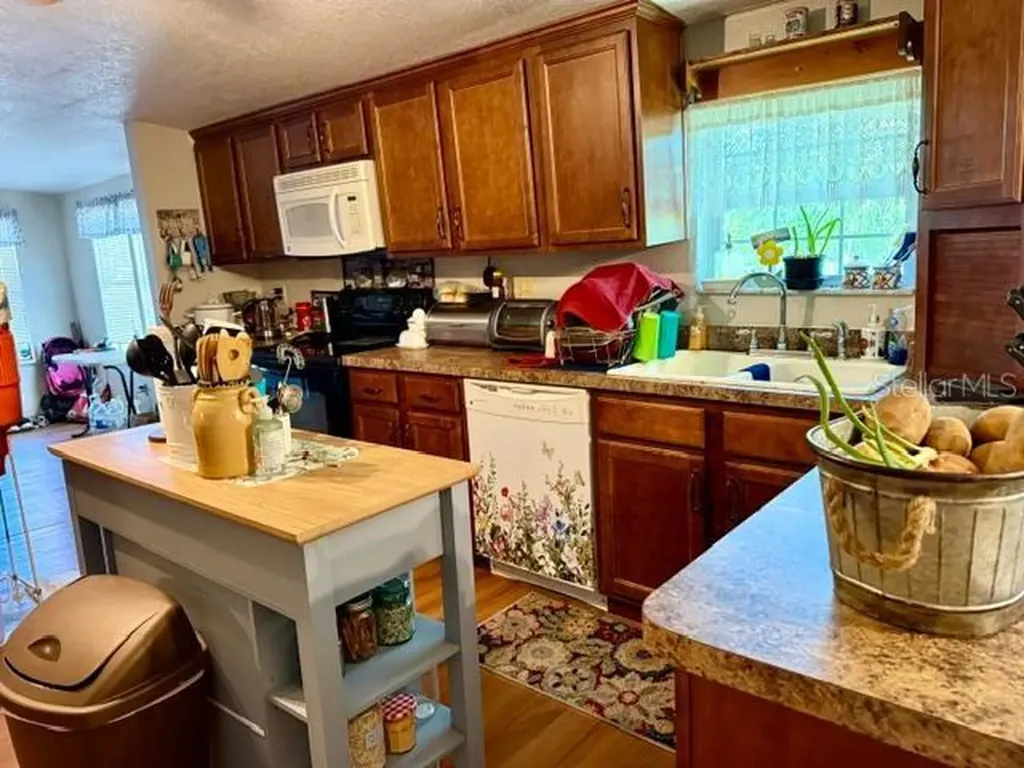 11340 SW 28th Way Webster FL 33597