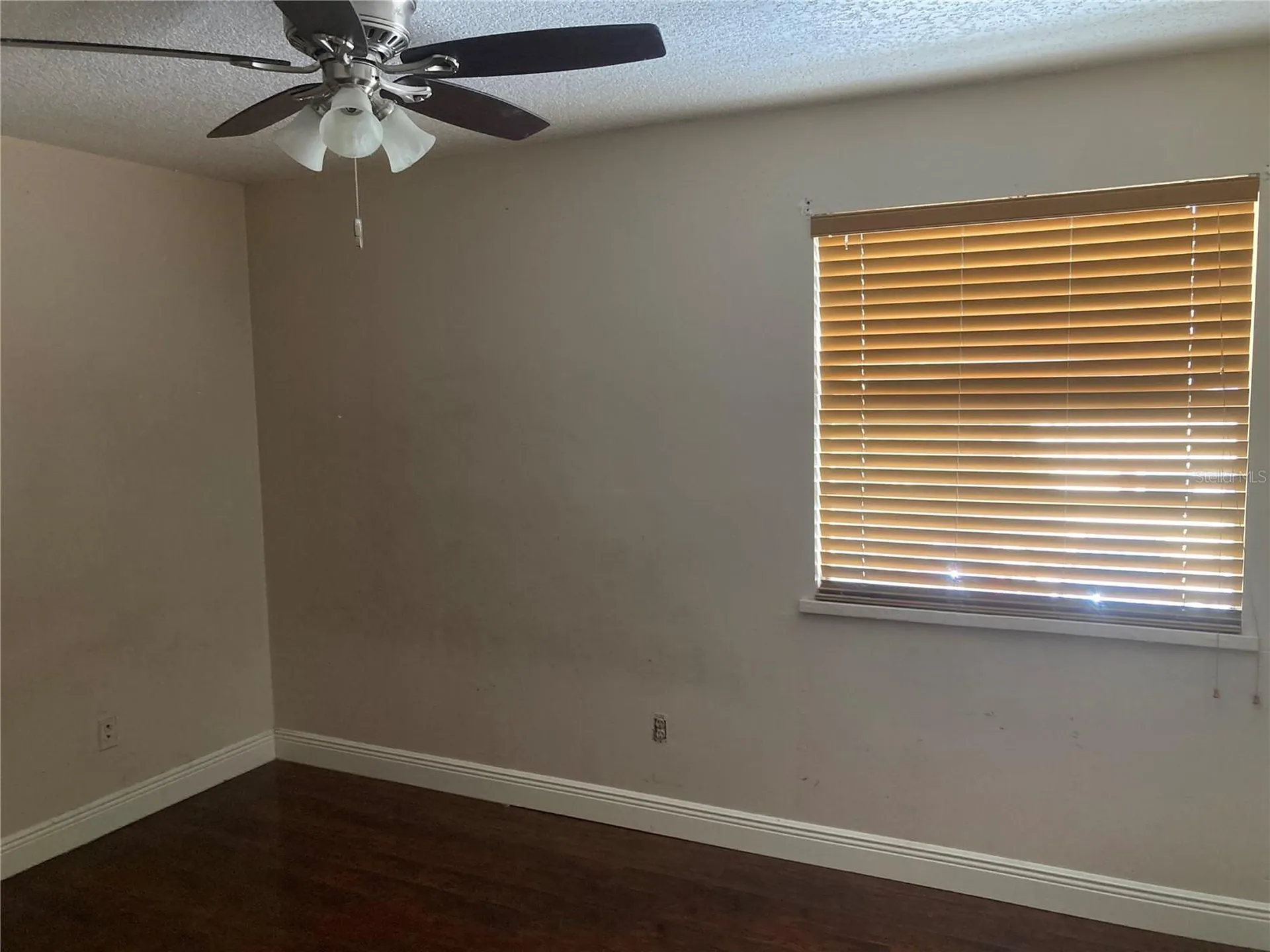 7514 Dolonita Drive Tampa FL 33615