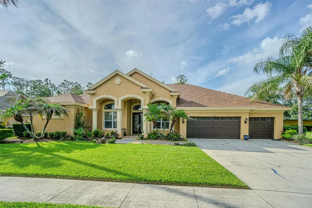 27447 Water Ash Drive Wesley Chapel FL 33544