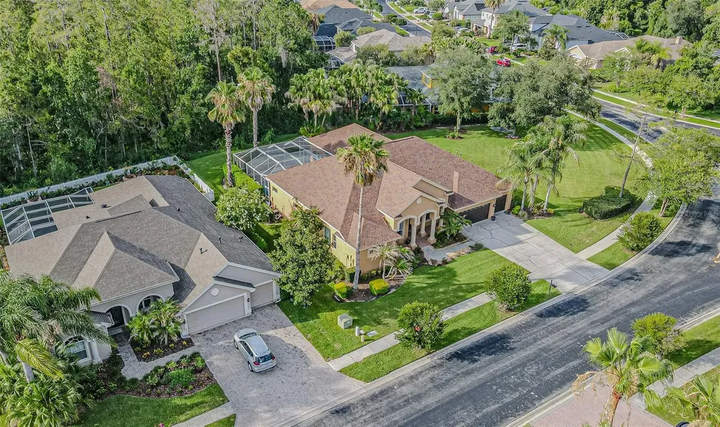 27447 Water Ash Drive Wesley Chapel FL 33544