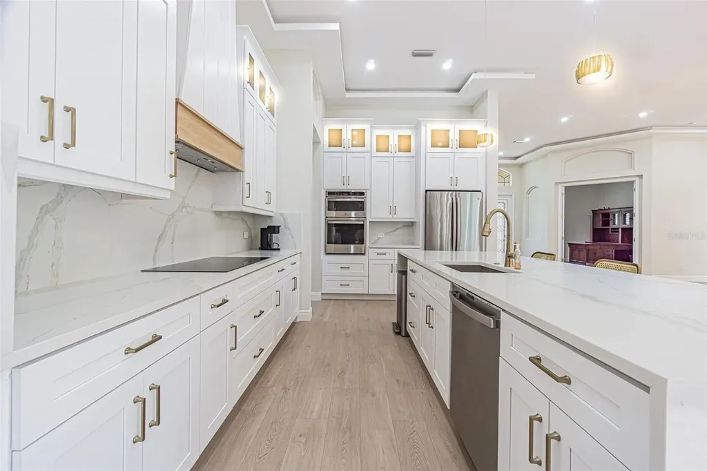27447 Water Ash Drive Wesley Chapel FL 33544