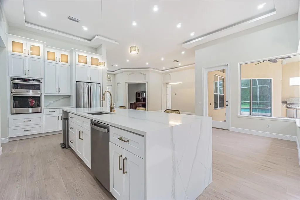 27447 Water Ash Drive Wesley Chapel FL 33544