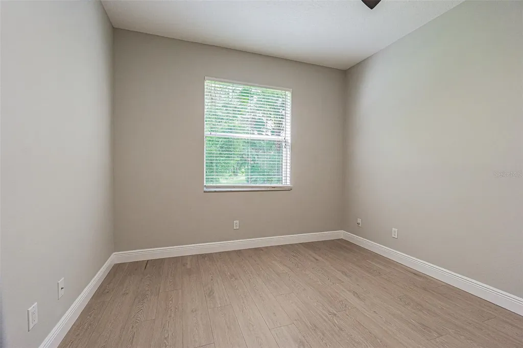 27447 Water Ash Drive Wesley Chapel FL 33544