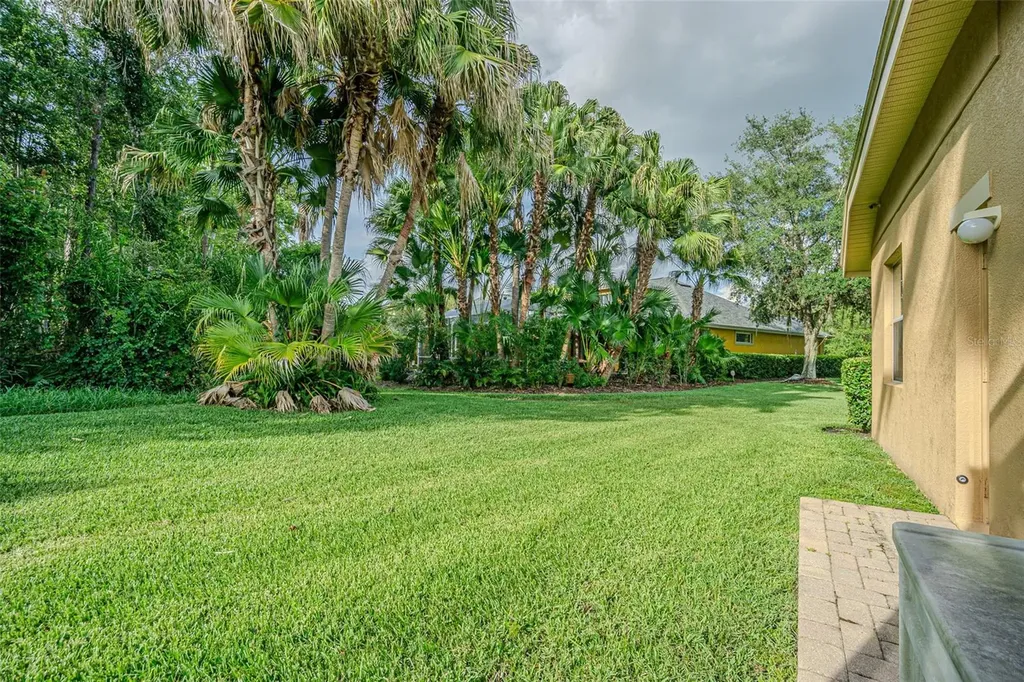 27447 Water Ash Drive Wesley Chapel FL 33544