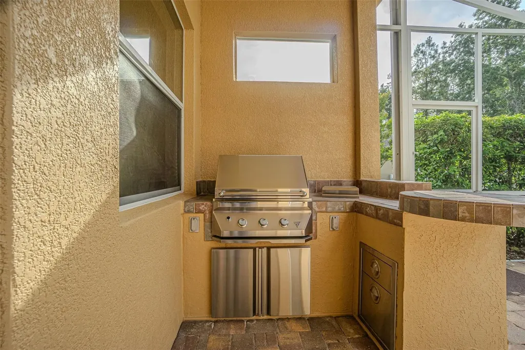 27447 Water Ash Drive Wesley Chapel FL 33544