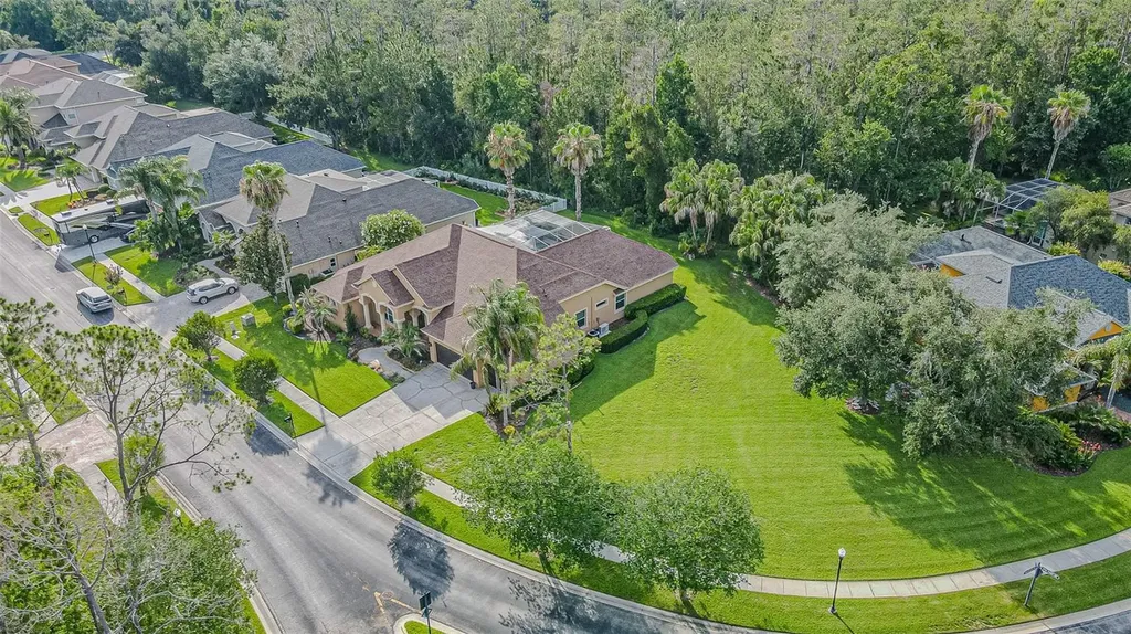 27447 Water Ash Drive Wesley Chapel FL 33544