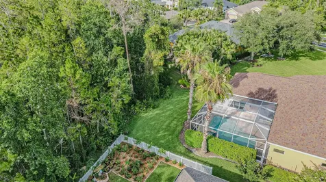 27447 Water Ash Drive Wesley Chapel FL 33544