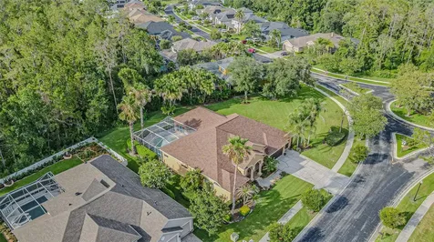 27447 Water Ash Drive Wesley Chapel FL 33544