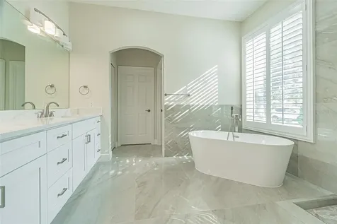 27447 Water Ash Drive Wesley Chapel FL 33544