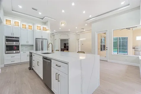 27447 Water Ash Drive Wesley Chapel FL 33544