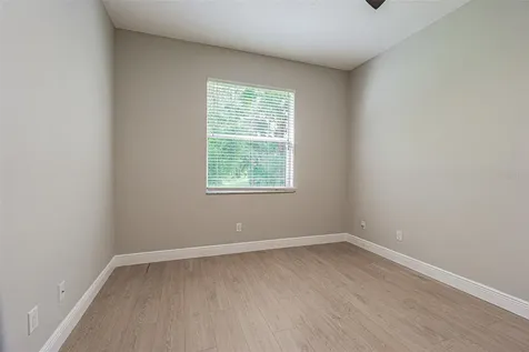 27447 Water Ash Drive Wesley Chapel FL 33544