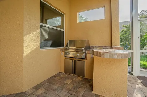 27447 Water Ash Drive Wesley Chapel FL 33544
