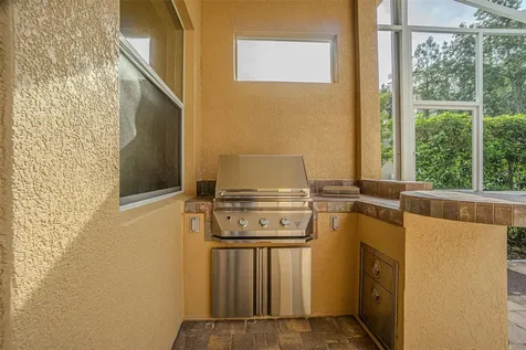 27447 Water Ash Drive Wesley Chapel FL 33544