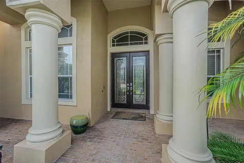 27447 Water Ash Drive Wesley Chapel FL 33544