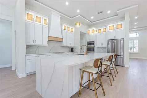 27447 Water Ash Drive Wesley Chapel FL 33544