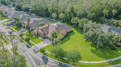 27447 Water Ash Drive Wesley Chapel FL 33544