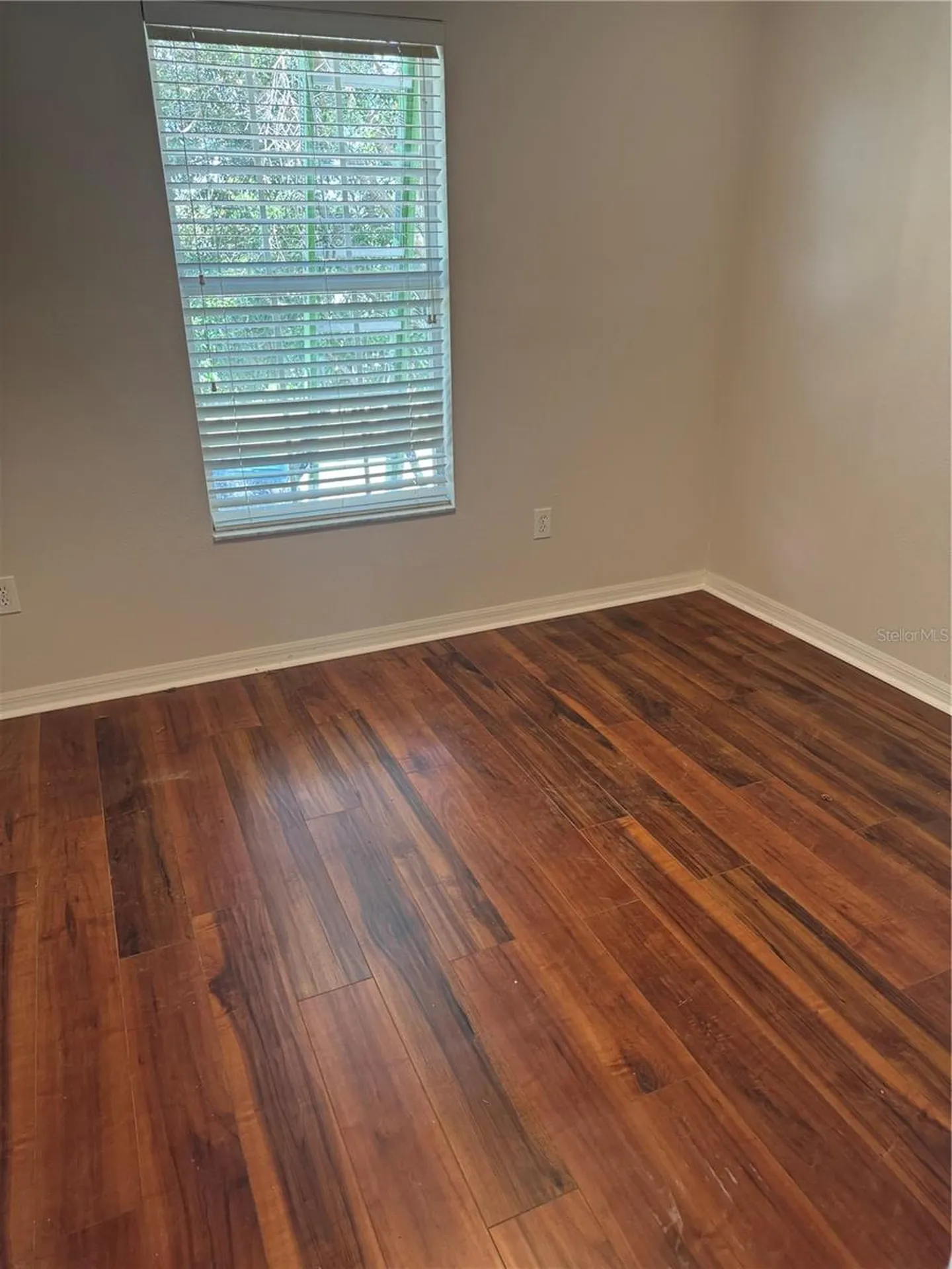 3316 Thistledown Lane Land O Lakes FL 34638