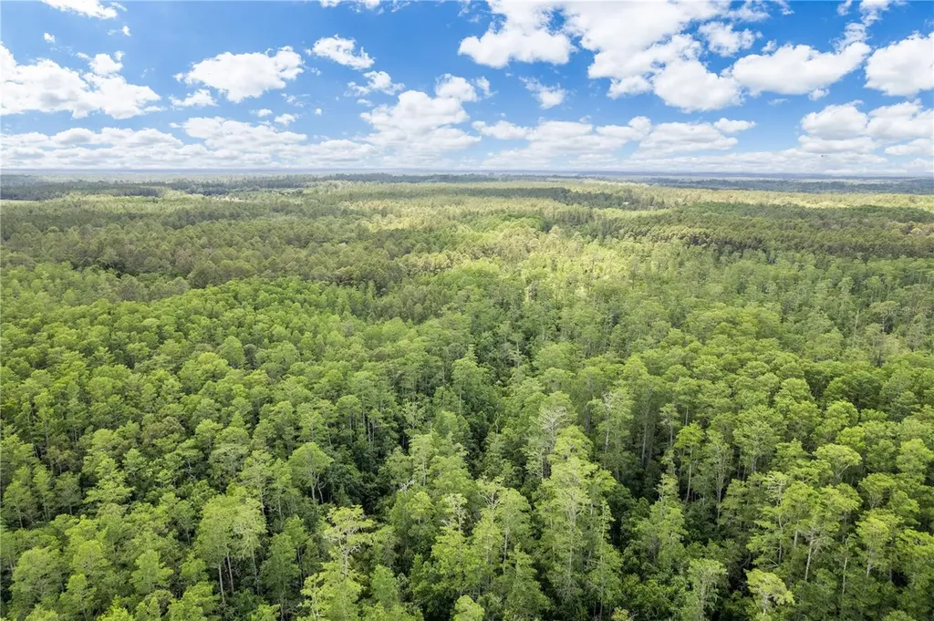 2362 NE County Road 1469 Hawthorne FL 32640