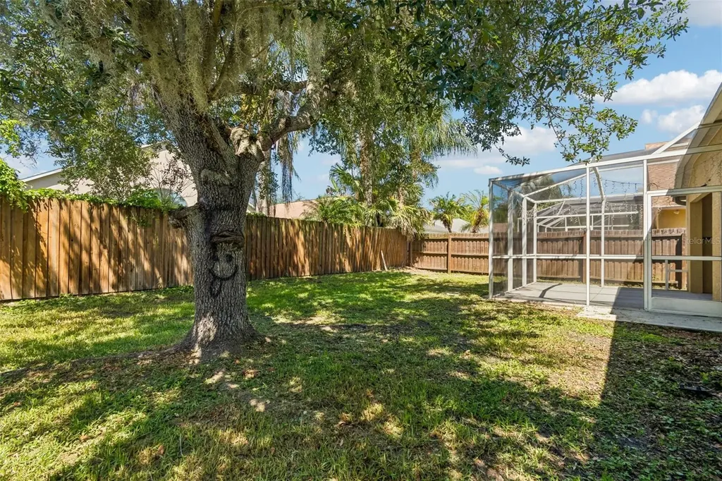 1229 Crimson Clover Lane Wesley Chapel FL 33543