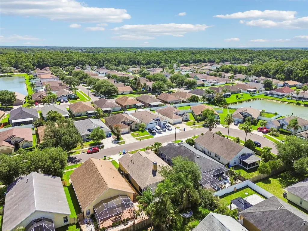 1229 Crimson Clover Lane Wesley Chapel FL 33543