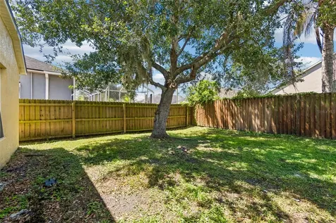 1229 Crimson Clover Lane Wesley Chapel FL 33543