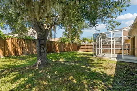 1229 Crimson Clover Lane Wesley Chapel FL 33543