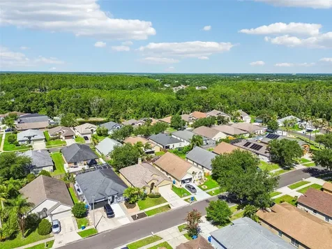 1229 Crimson Clover Lane Wesley Chapel FL 33543