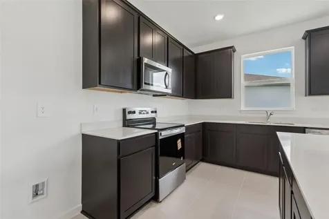 11243 Sycamore Glen Loop Thonotosassa FL 33592
