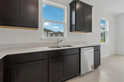 11243 Sycamore Glen Loop Thonotosassa FL 33592