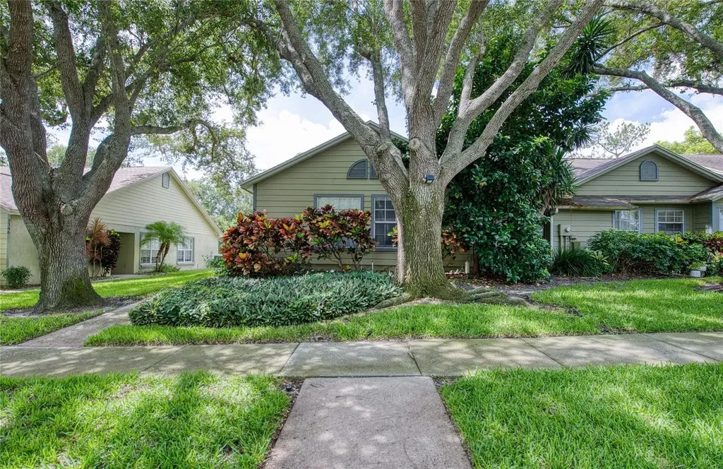2390 Bentley Drive Palm Harbor FL 34684