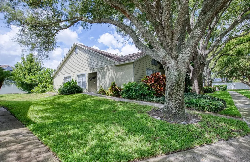 2390 Bentley Drive Palm Harbor FL 34684