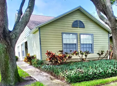2390 Bentley Drive Palm Harbor FL 34684