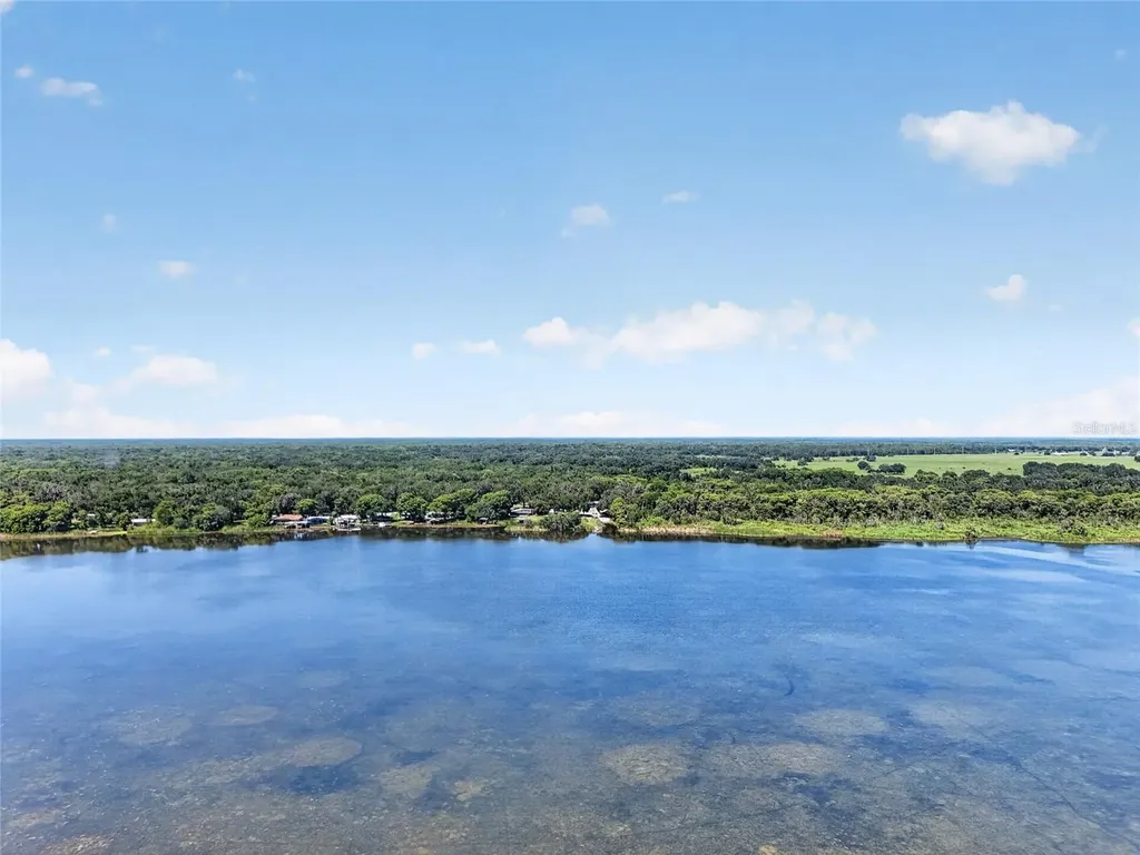 4136 Cr 400 Lake Panasoffkee FL 33538