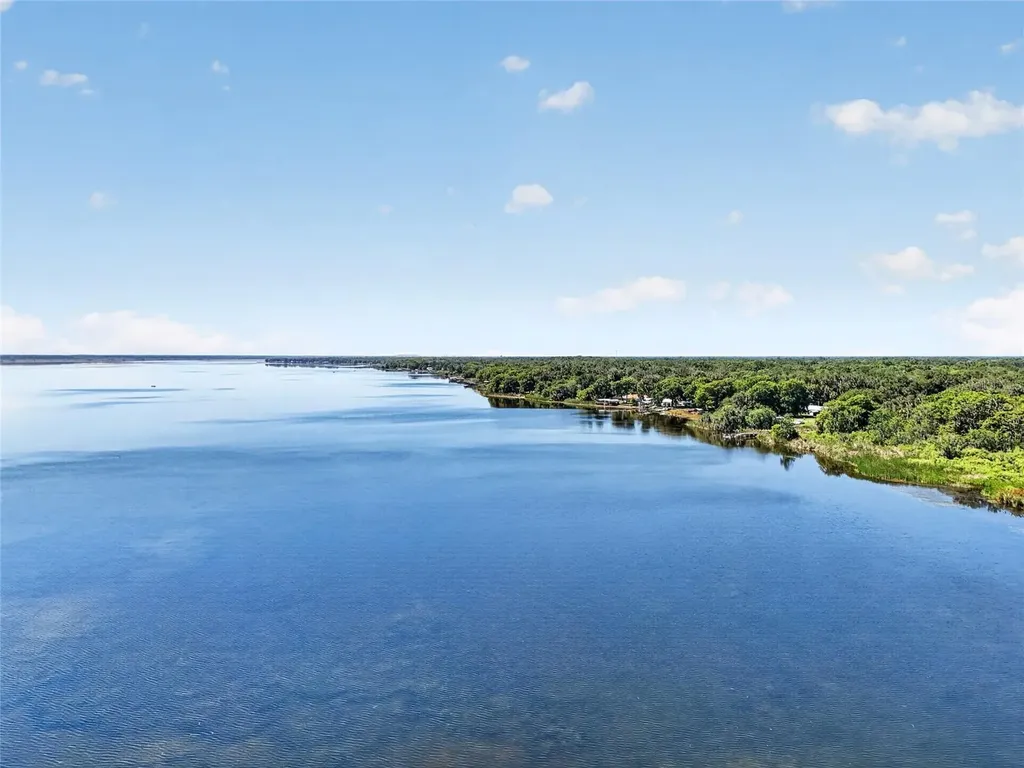 4136 Cr 400 Lake Panasoffkee FL 33538