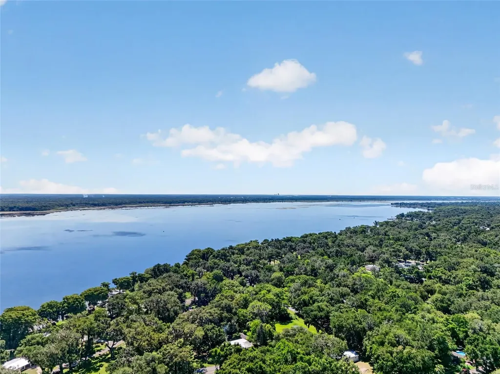 4136 Cr 400 Lake Panasoffkee FL 33538