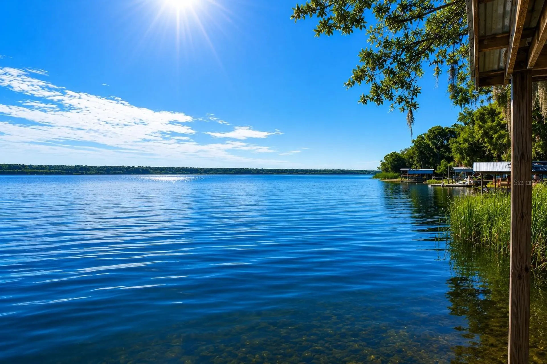 4136 Cr 400 Lake Panasoffkee FL 33538