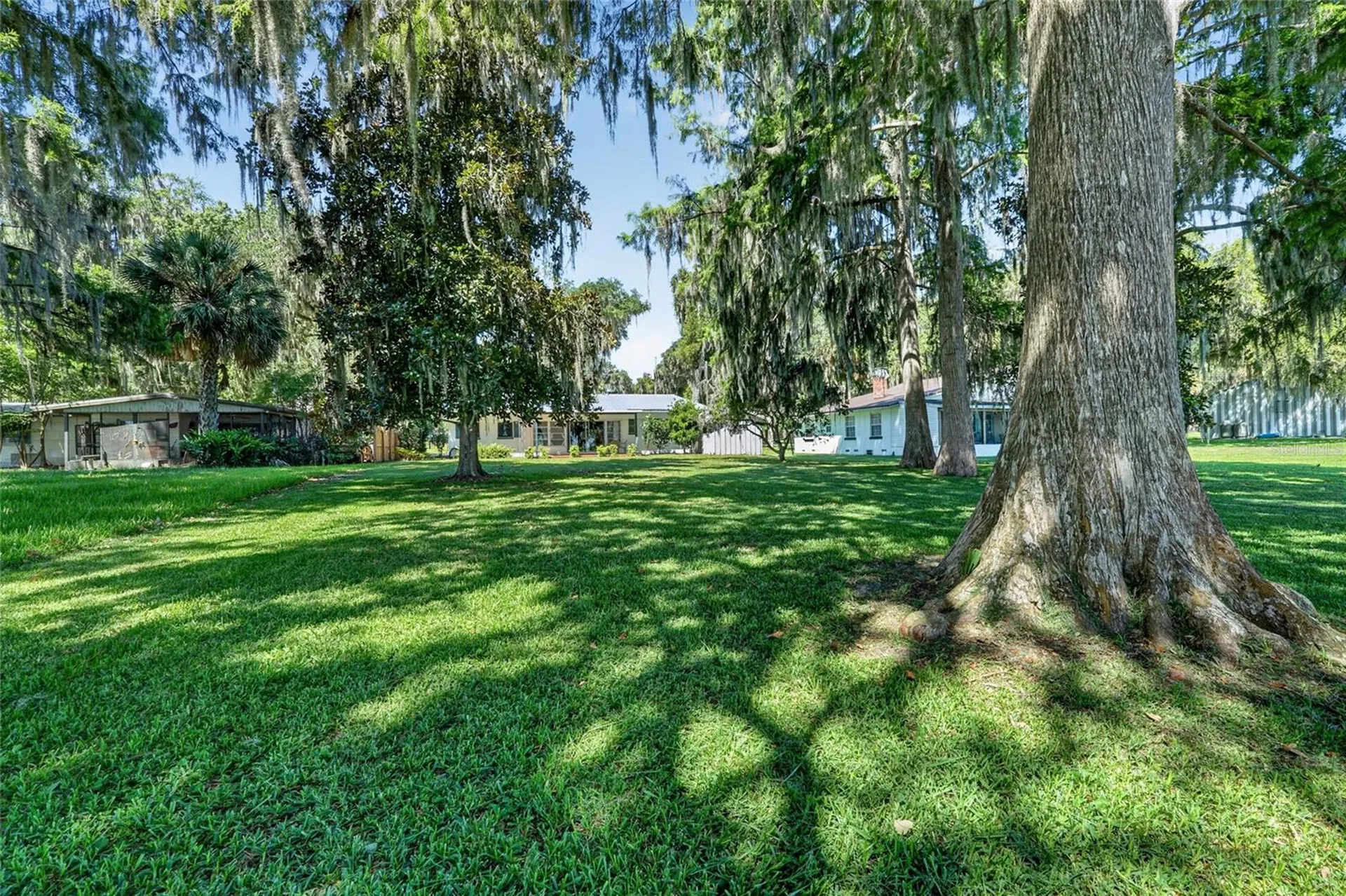 4136 Cr 400 Lake Panasoffkee FL 33538