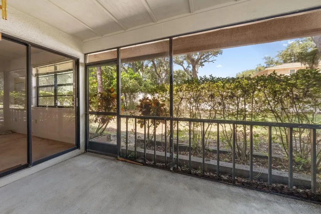 2926 Star Apple Court Palm Harbor FL 34684