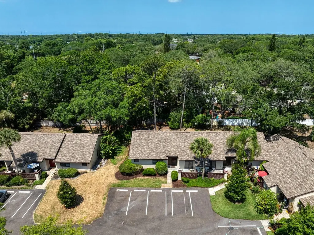 2926 Star Apple Court Palm Harbor FL 34684