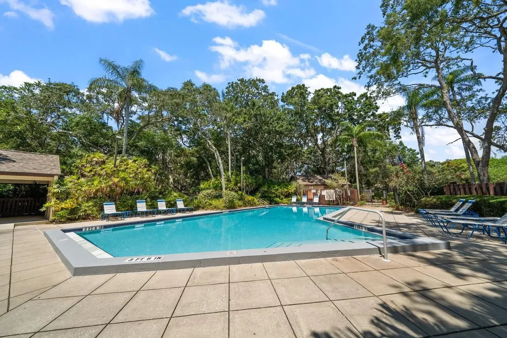 2926 Star Apple Court Palm Harbor FL 34684