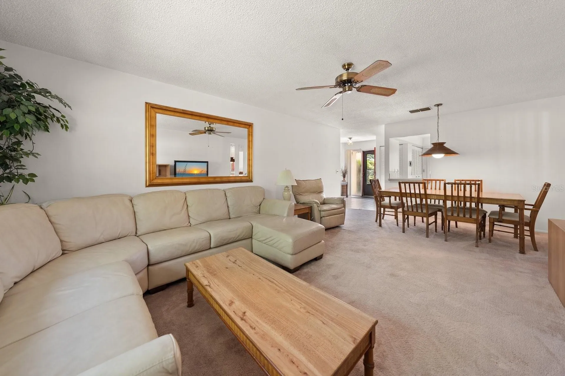 2926 Star Apple Court Palm Harbor FL 34684