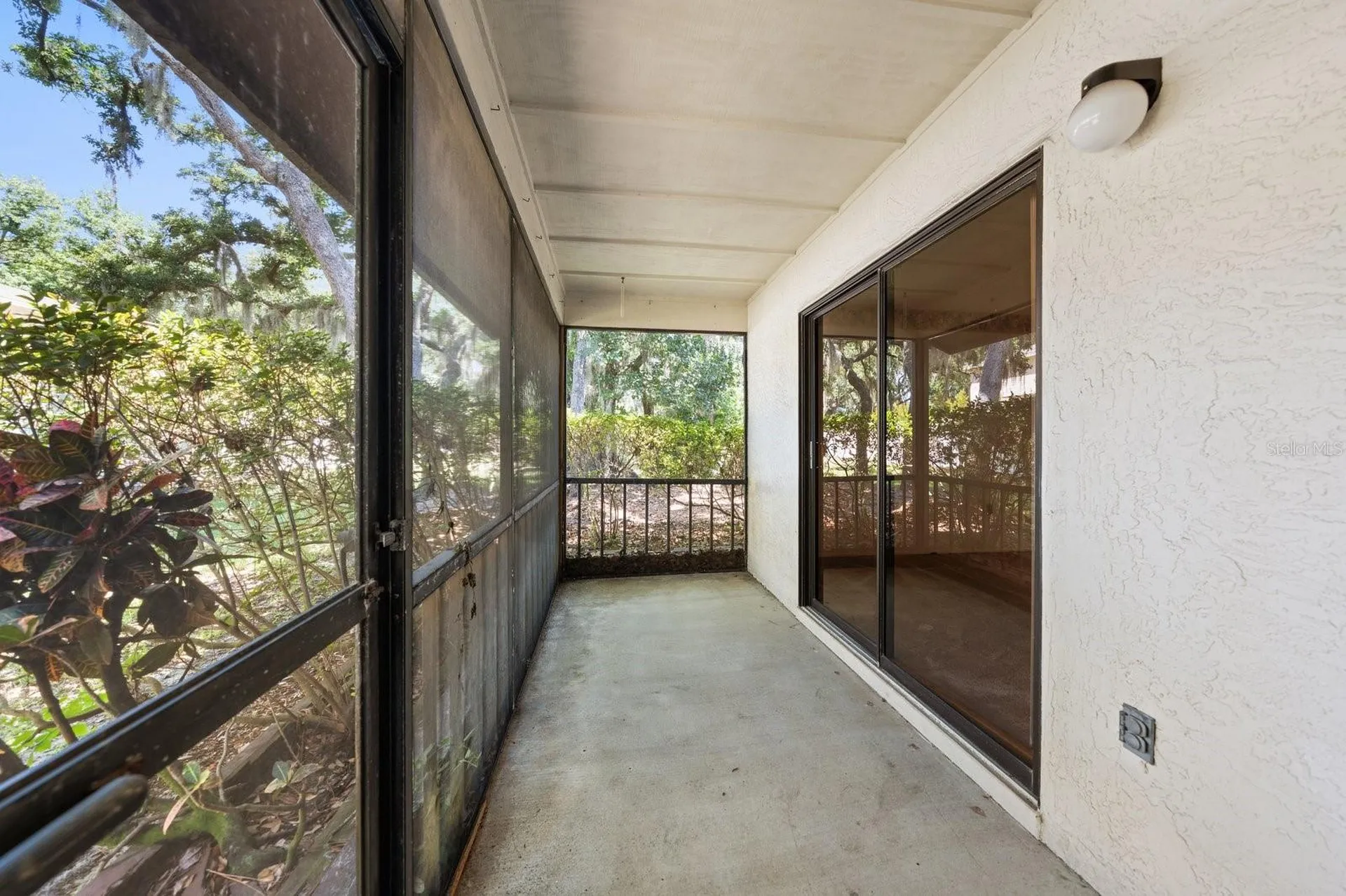 2926 Star Apple Court Palm Harbor FL 34684