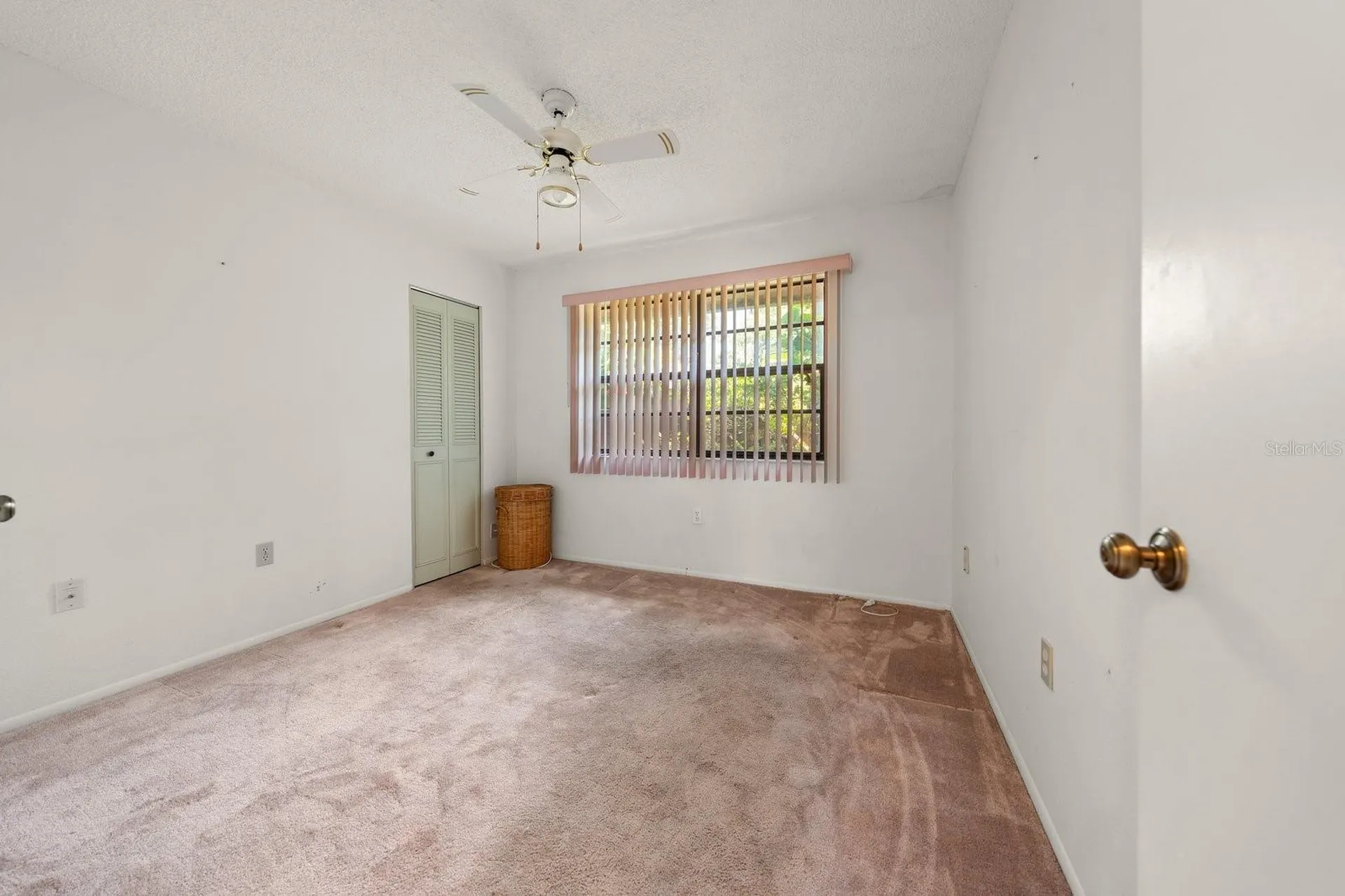 2926 Star Apple Court Palm Harbor FL 34684