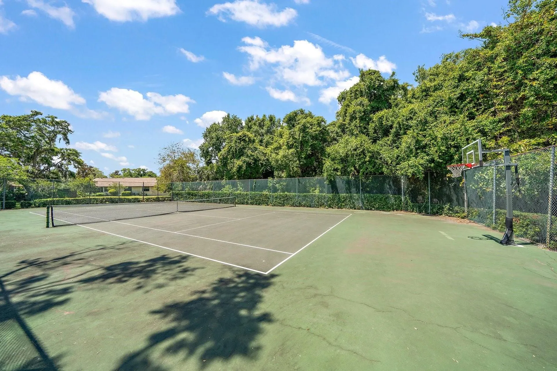 2926 Star Apple Court Palm Harbor FL 34684