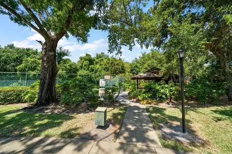 2926 Star Apple Court Palm Harbor FL 34684