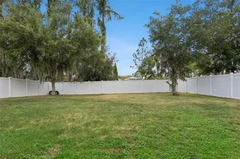 2514 Plumadore Drive Grand Island FL 32735