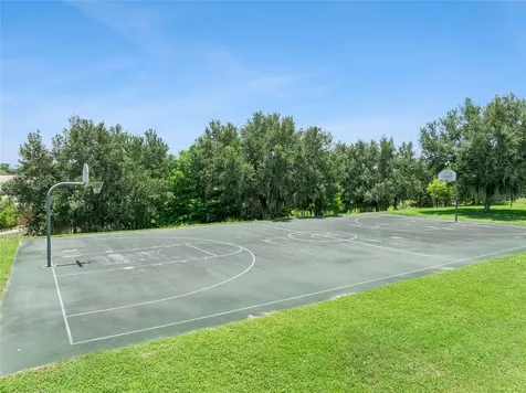 2514 Plumadore Drive Grand Island FL 32735